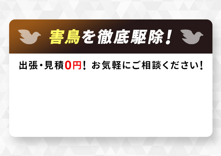 害鳥の完全駆除ならお任せください!
