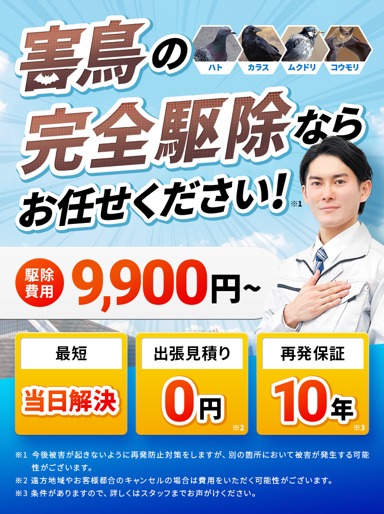 害鳥の完全駆除ならお任せください!
